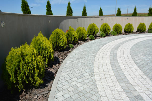 Best Driveway Pavers Near Me  in Paintsville, KY